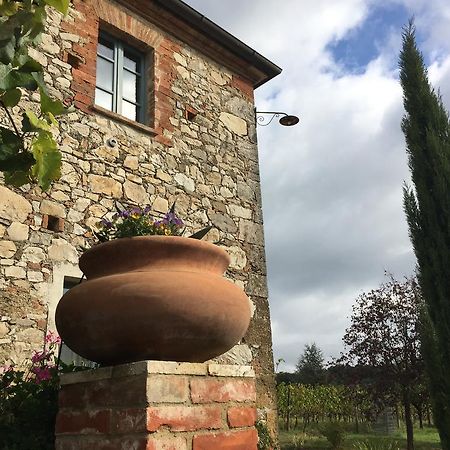 Agriturismo Podere Alberese Asciano Dış mekan fotoğraf