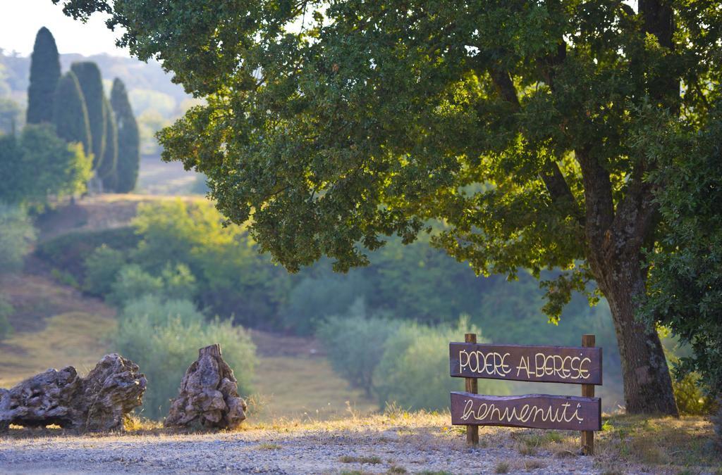 Agriturismo Podere Alberese Asciano Dış mekan fotoğraf