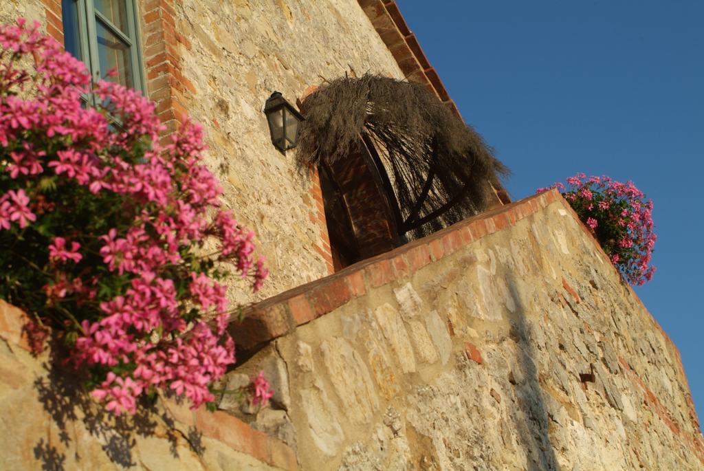 Agriturismo Podere Alberese Asciano Dış mekan fotoğraf