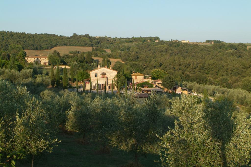 Agriturismo Podere Alberese Asciano Dış mekan fotoğraf